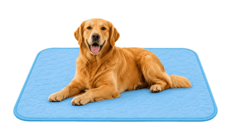 PetMade Cool Rest
