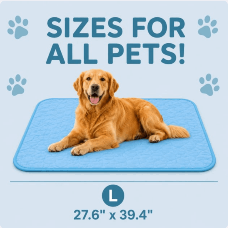 PetMade Cool Rest