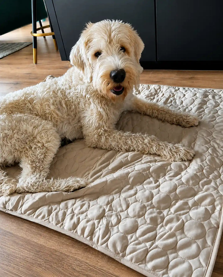 PetMade Cool Rest user Jenny M.