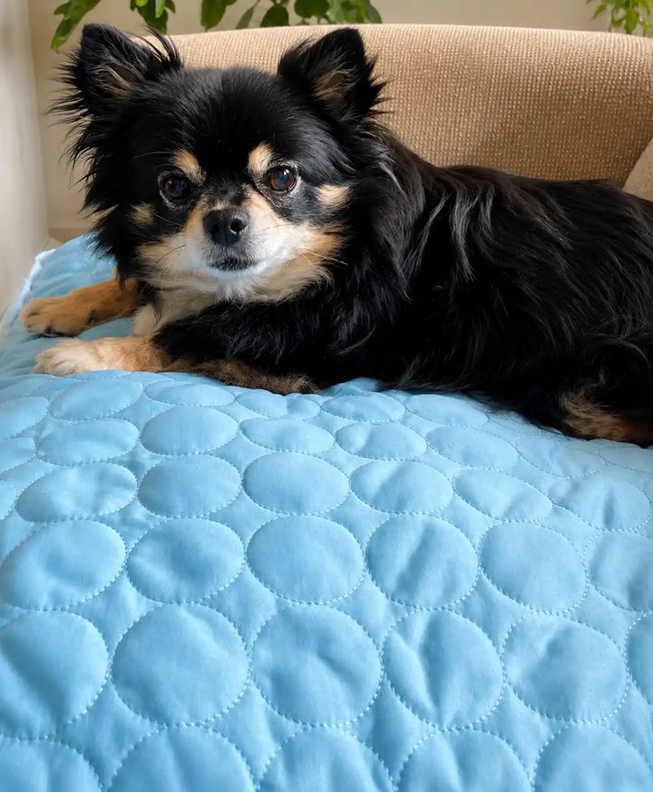PetMade Cool Rest user David L.